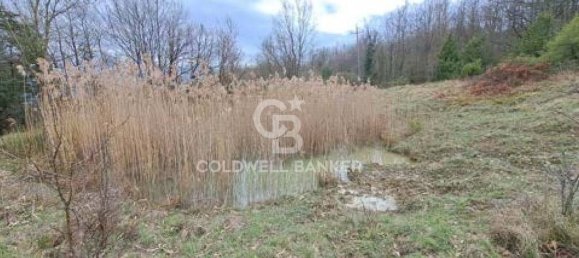 647500m² Land in Piancastagnaio, Italy No. 285145 16