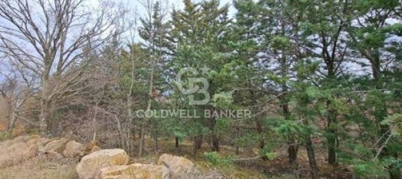 647500m² Land in Piancastagnaio, Italy No. 285145 14