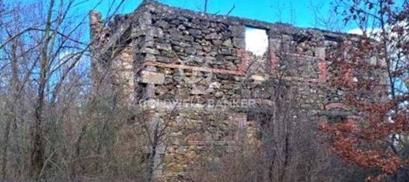 647500m² Land in Piancastagnaio, Italy No. 285145 7