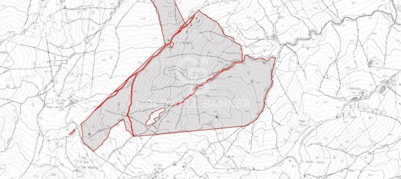 647500m² Land in Piancastagnaio, Italy No. 285145 28