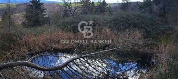 647500m² Land in Piancastagnaio, Italy No. 285145 5