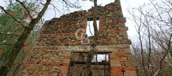 647500m² Land in Piancastagnaio, Italy No. 285145 8