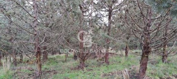 647500m² Land in Piancastagnaio, Italy No. 285145 11