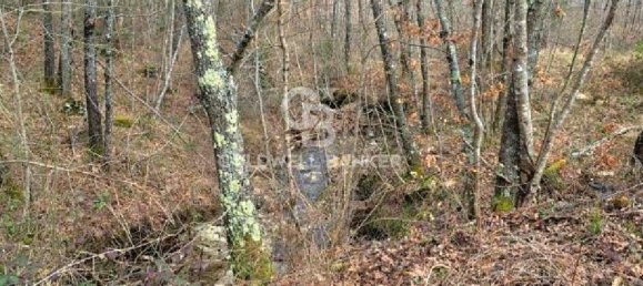 647500m² Land in Piancastagnaio, Italy No. 285145 6