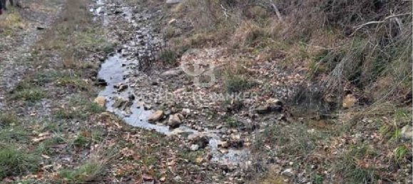 647500m² Land in Piancastagnaio, Italy No. 285145 17