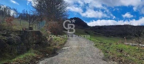 647500m² Land in Piancastagnaio, Italy No. 285145 21