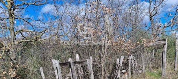 647500m² Land in Piancastagnaio, Italy No. 285145 20