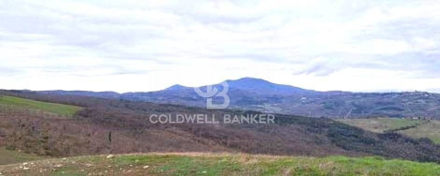 647500m² Land in Piancastagnaio, Italy No. 285145