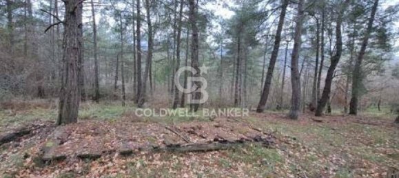 647500m² Land in Piancastagnaio, Italy No. 285145 4