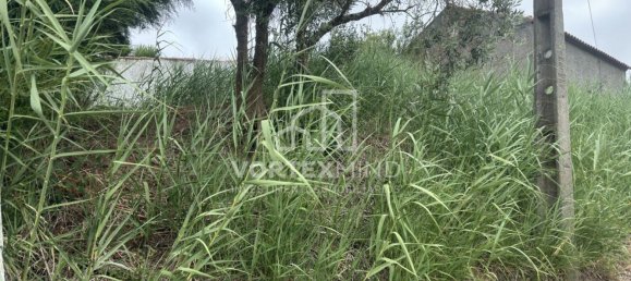 Casa de 1 dormitorio en Cadaval, Portugal No. 94226 13