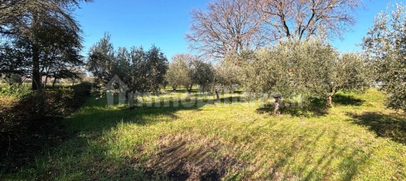 7 bedrooms Villa in Treia, Italy No. 113026 50