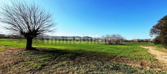 7 bedrooms Villa in Treia, Italy No. 113026 45