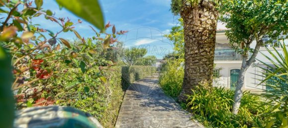 7 chambres Maison à Torres Novas, Portugal No. 49917 5