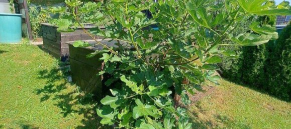 Квартира с 4 комнатами в Кёфлах, Австрия № 247219 20