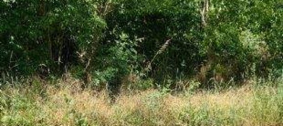 Lagerhaus in Kitzingen, Germany 2500m², Nr. 279520 15