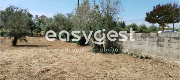 2590m² Land in Aguas Belas, Portugal No. 87630 11