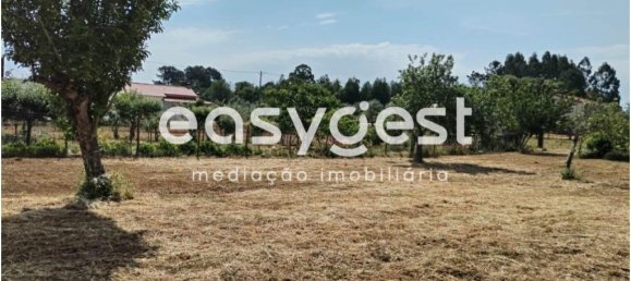 2590m² Land in Aguas Belas, Portugal No. 87630 10