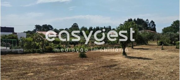 2590m² Land in Aguas Belas, Portugal No. 87630 4