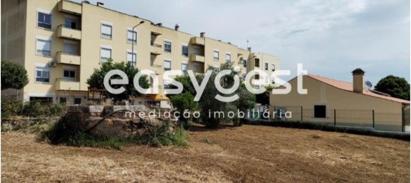 2590m² Land in Aguas Belas, Portugal No. 87630 13