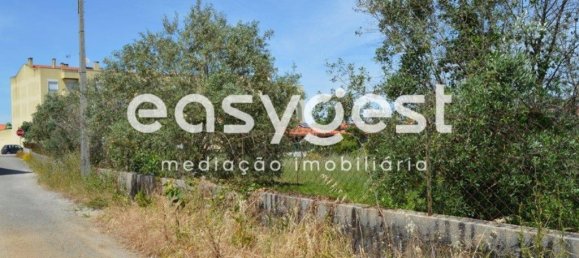 2590m² Land in Aguas Belas, Portugal No. 87630 7
