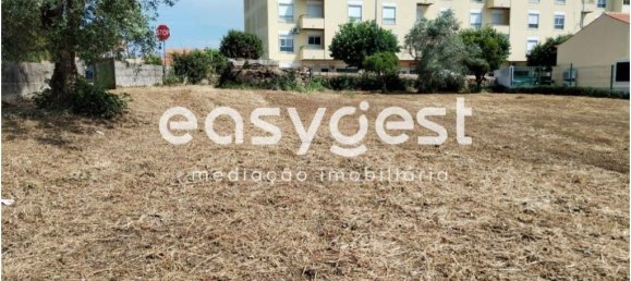 2590m² Land in Aguas Belas, Portugal No. 87630 14