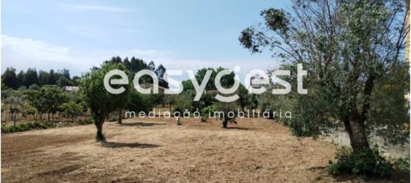 2590m² Land in Aguas Belas, Portugal No. 87630 2