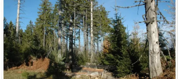 1 bedroom Apartment in Calw, Germany No. 34194 5