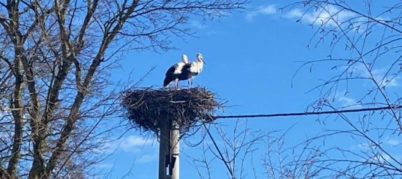 Moradia em banda de 4 divisões em Landsberg am Lech, Germany N.º 239377 25
