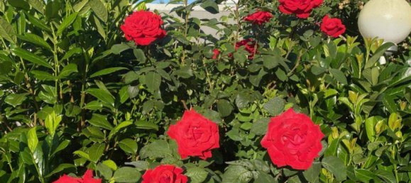 Moradia em banda de 4 divisões em Landsberg am Lech, Germany N.º 239377 16