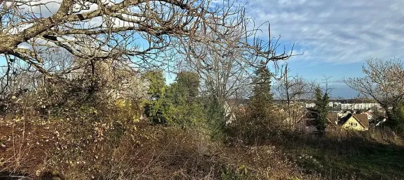 Земельный участок 3426м² в Сульц-О-Рен, Франция № 46247 2