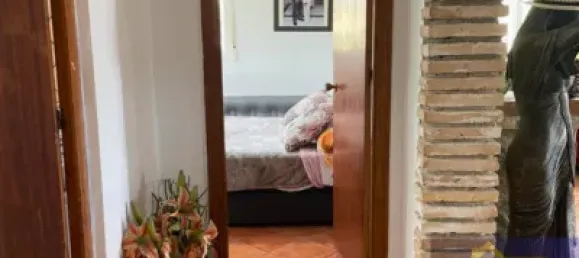 6 bedrooms House in Murcia, Spain No. 140780 19