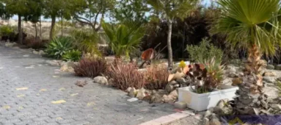 6 bedrooms House in Murcia, Spain No. 140780 29