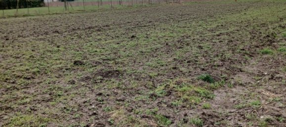 Land in Graincourt-les-Havrincourt, France No. 229424 2