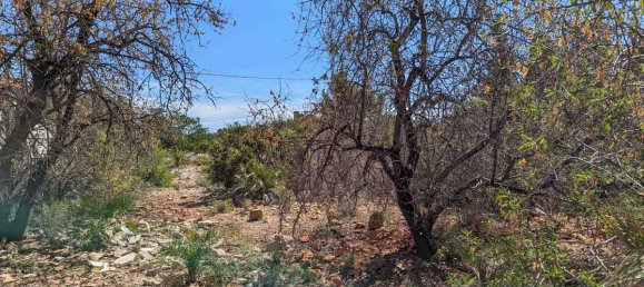  Land in Denia, Spain No. 138708 4