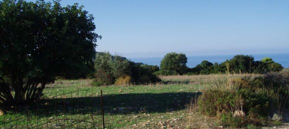 Terra em Zakynthos, Greece N.º 8520 15