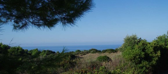 Terra em Zakynthos, Greece N.º 8520 14