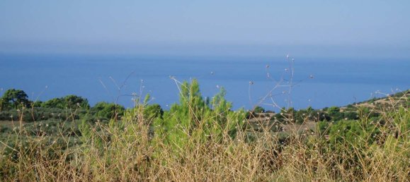 Terra em Zakynthos, Greece N.º 8520 3