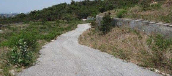 Gewerbliche Immobilie in Pattaya, Thailand, Nr. 3432 6