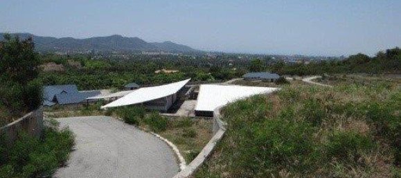 Gewerbliche Immobilie in Pattaya, Thailand, Nr. 3432 8