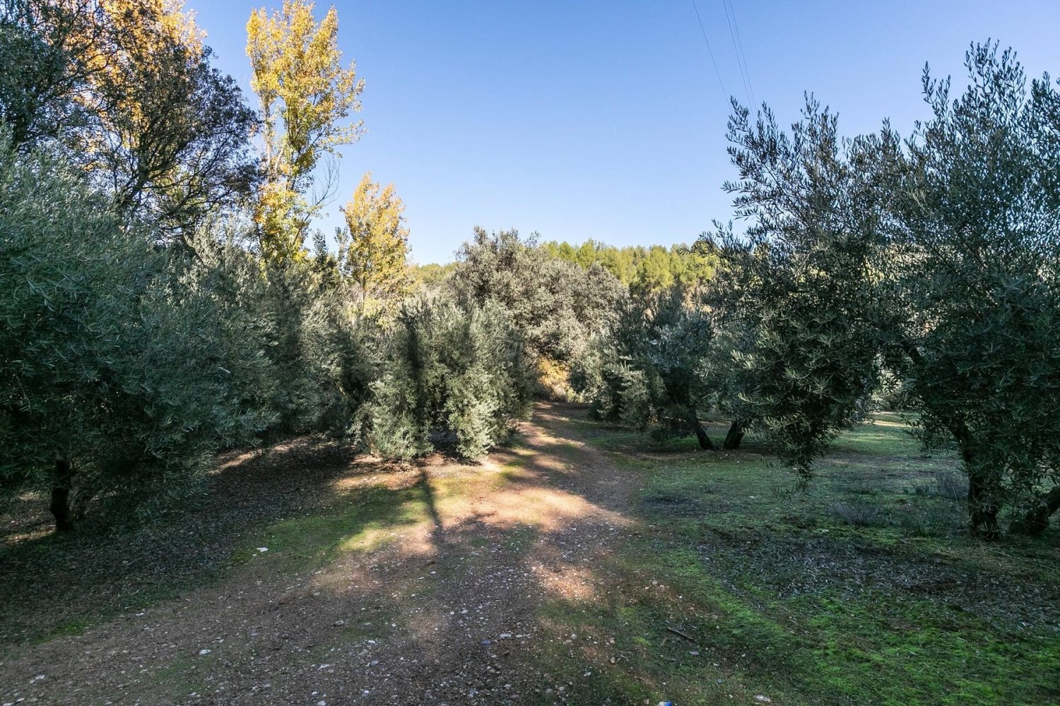 26000m² Land in Granada, Spain No. 108073