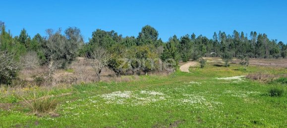 Grundstück in Coruche, Portugal 21000m², Nr. 84174 19