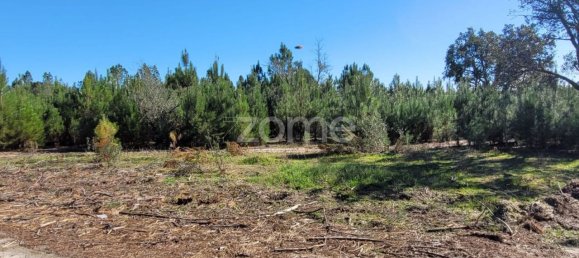 Grundstück in Coruche, Portugal 21000m², Nr. 84174 9