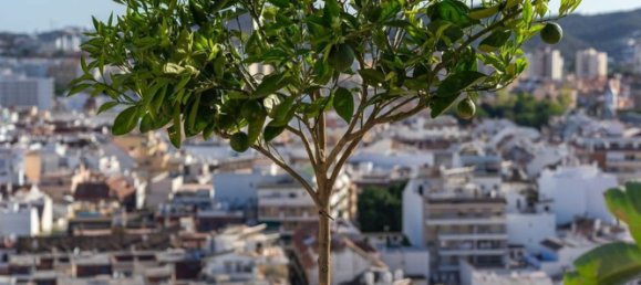 Пентхаус с 4 спальнями в Фуэнхирола, Испания № 179006 82