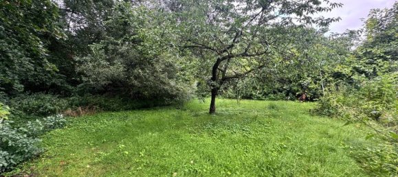  قطعة أرض في Lippe, Germany رقم 232296 3