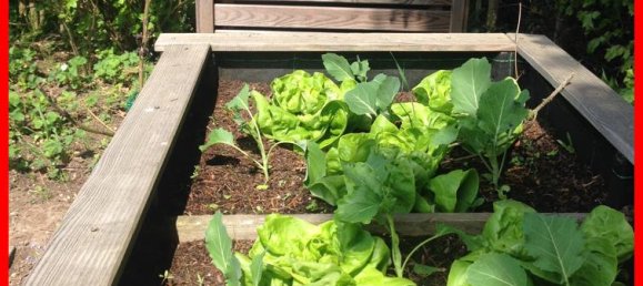 Дом с 3 спальнями в Хайнсберг, Германия № 226987 14