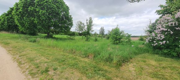 Terreno em Markisch-Oderland, Germany N.º 276462 2