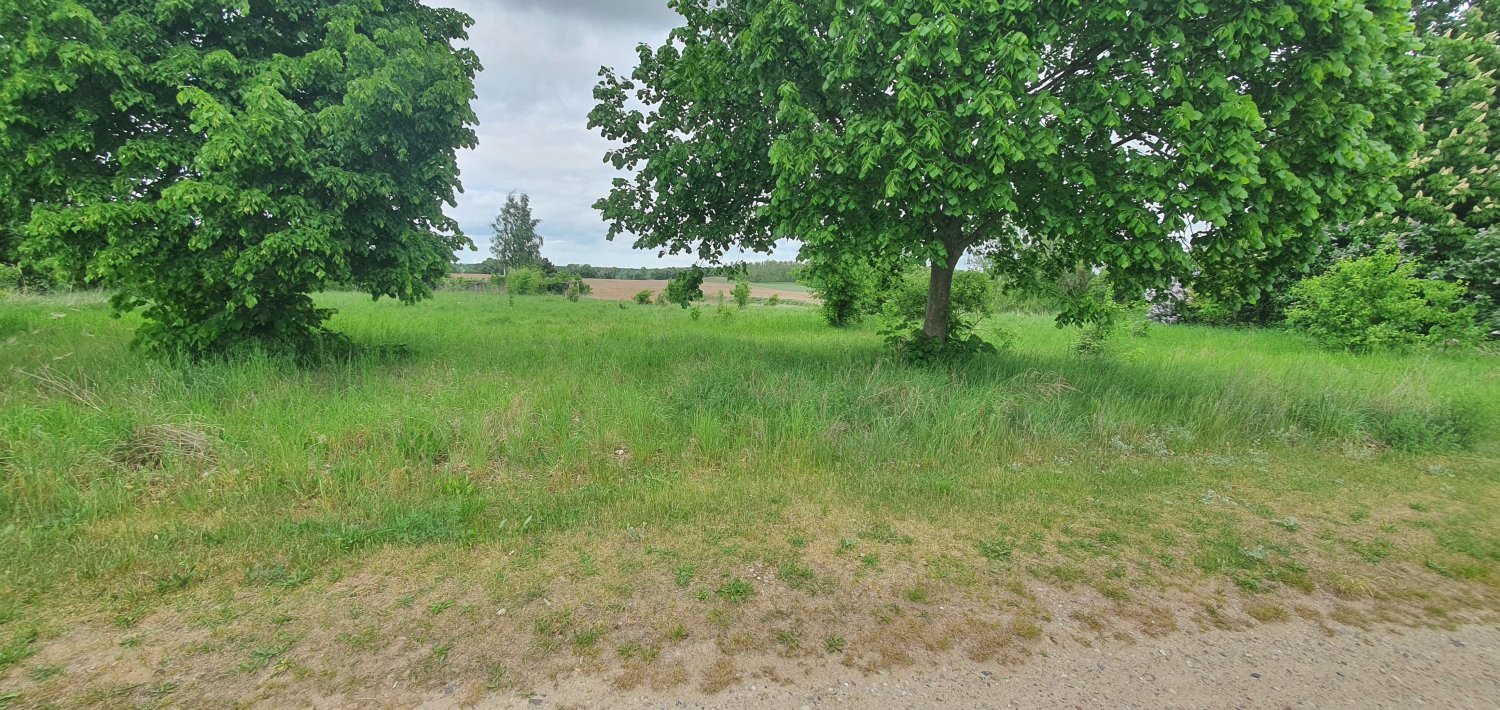 Terreno em Markisch-Oderland, Germany N.º 276462