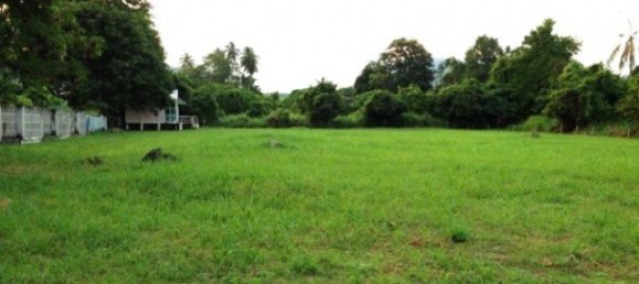 5279m² Commercial property in Chalong, Thailand No. 12329 6