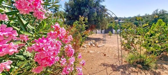 5 Schlafzimmer Haus in Silves, Portugal, Nr. 296991 40