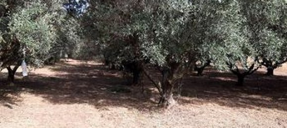 Земельный участок 3634м² в Капотерра, Италия № 281323 4